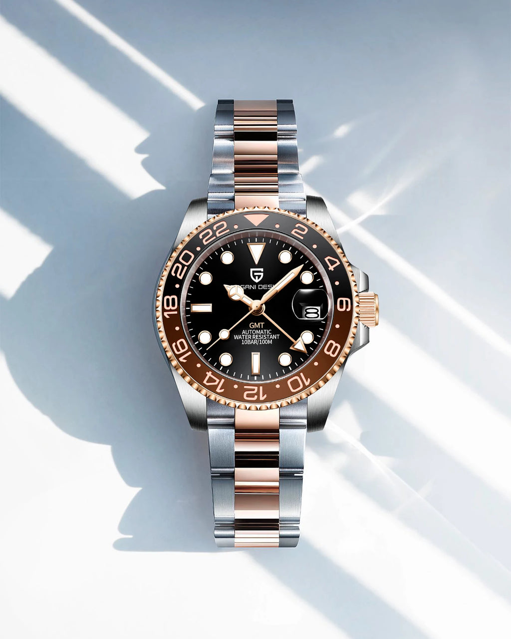Titan GMT Watch