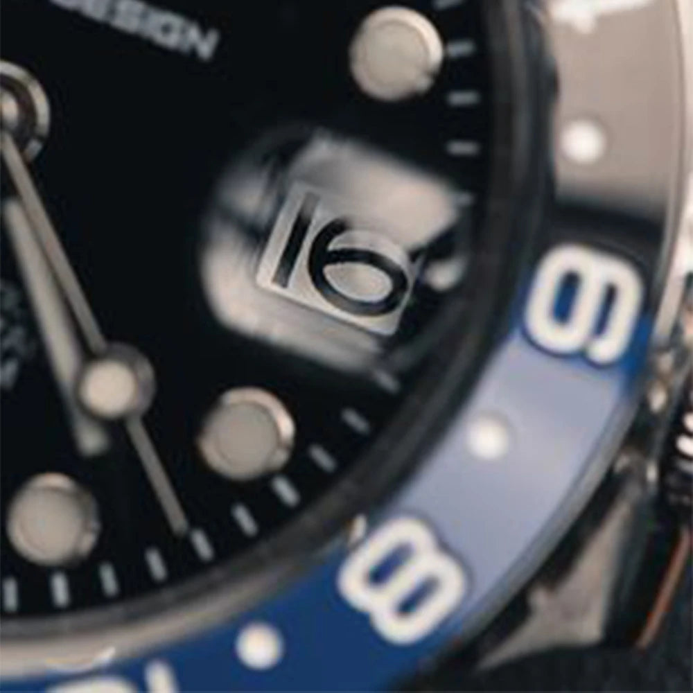 Titan GMT Watch